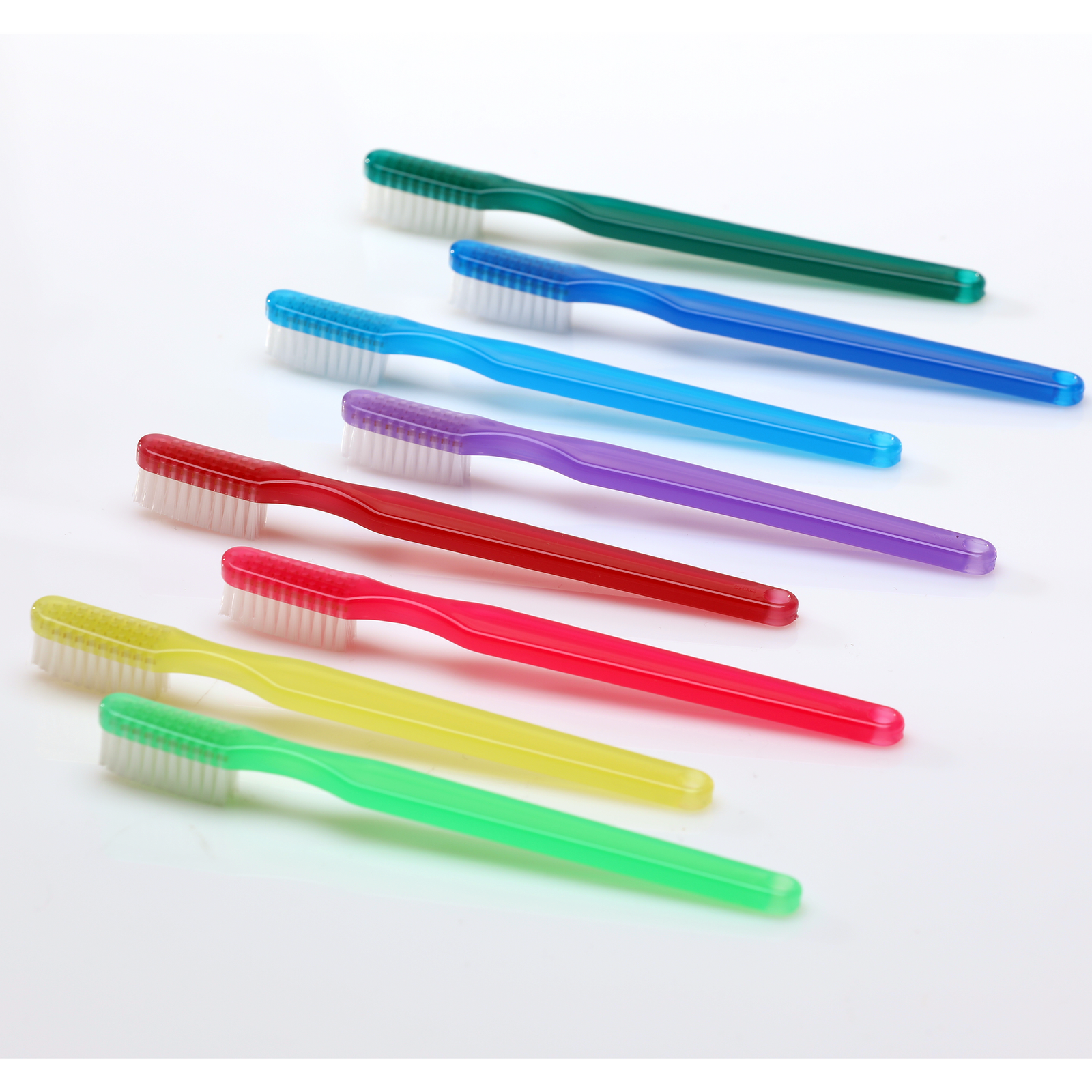 Adult Rainbow Toothbrush (000-10925)