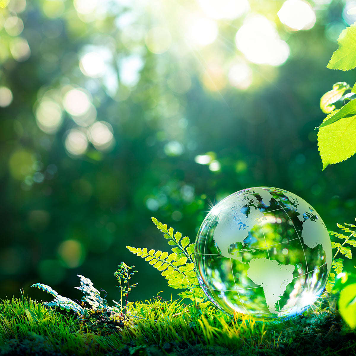 Sustainability