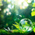 Sustainability